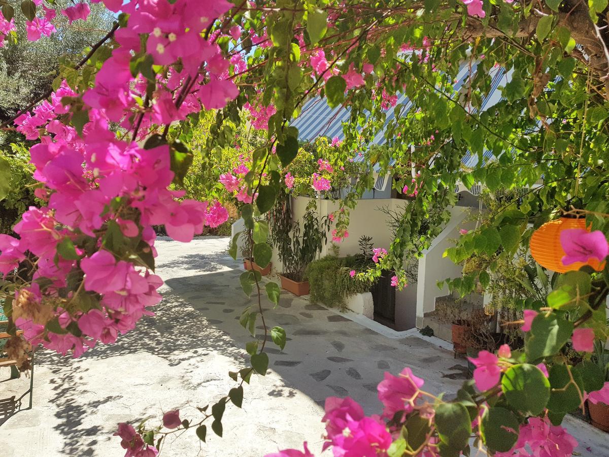 Sunrise Flora Apartment Agia Marina  Exterior photo